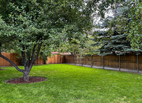 Backyard sod installation with mature shade trees