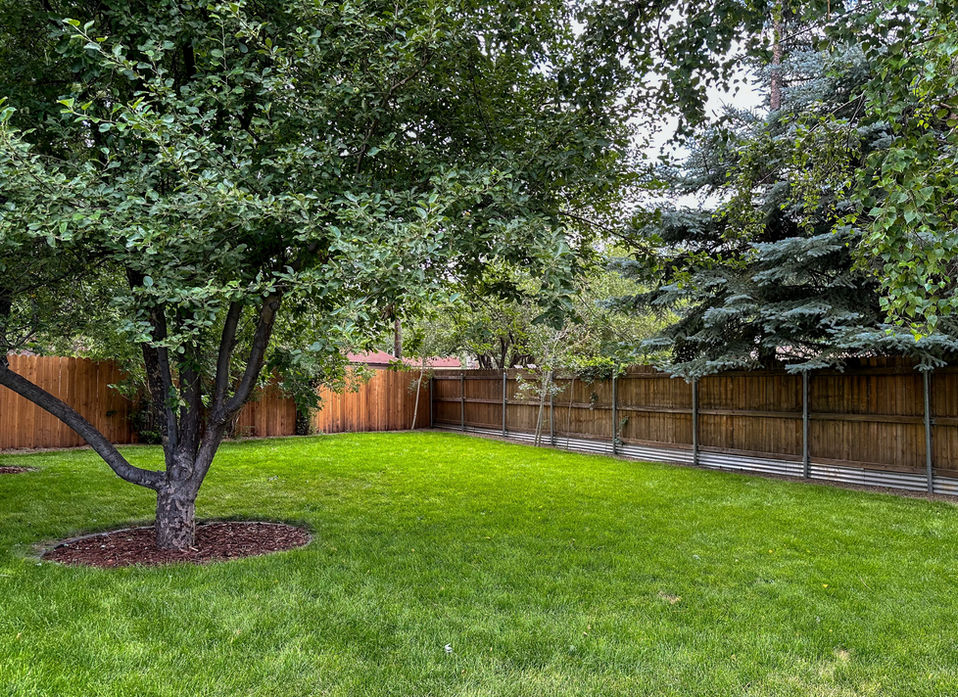 Backyard sod installation with mature shade trees