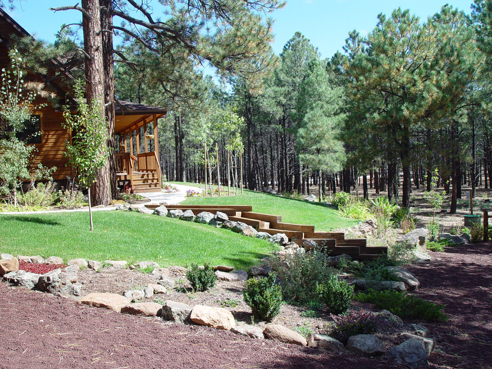 PLANTINGS agassizlandscape2020