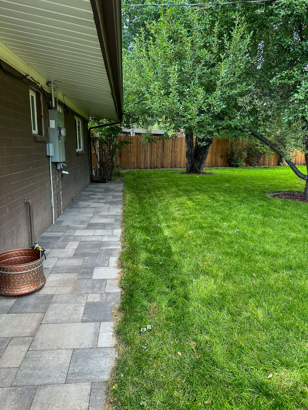 Lush green lawn installed around paver walkway