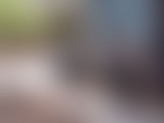 Spring clean-up landscaping in Flagstaff AZ