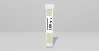 WebImagesLandscape (4).png