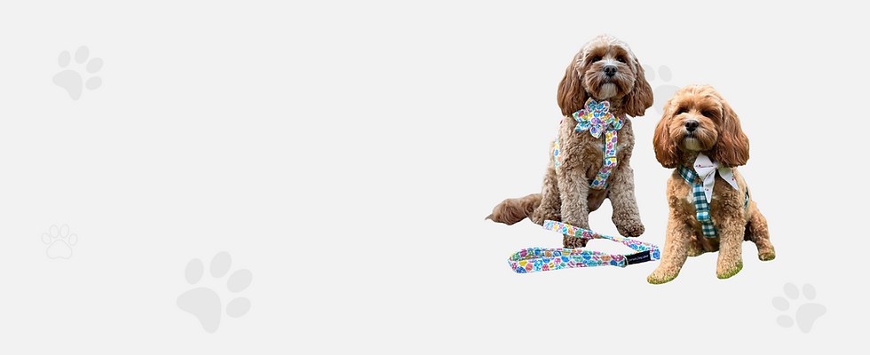 Untitled design (17).png