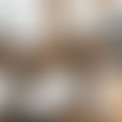 S Corp, C Corp, LLC, or LLP?