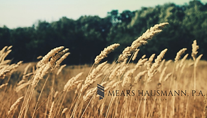 Wheat Field with Logo.png