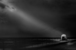 Shine the light