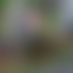 Part 4: The Middle Ground For Secure Voting