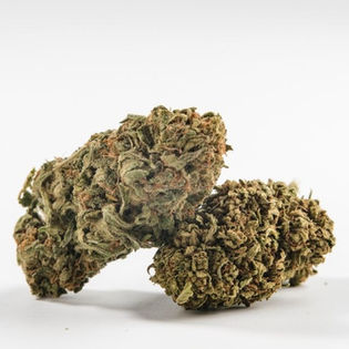 CBD vs. HHC: Jaký je mezi nimi rozdíl?