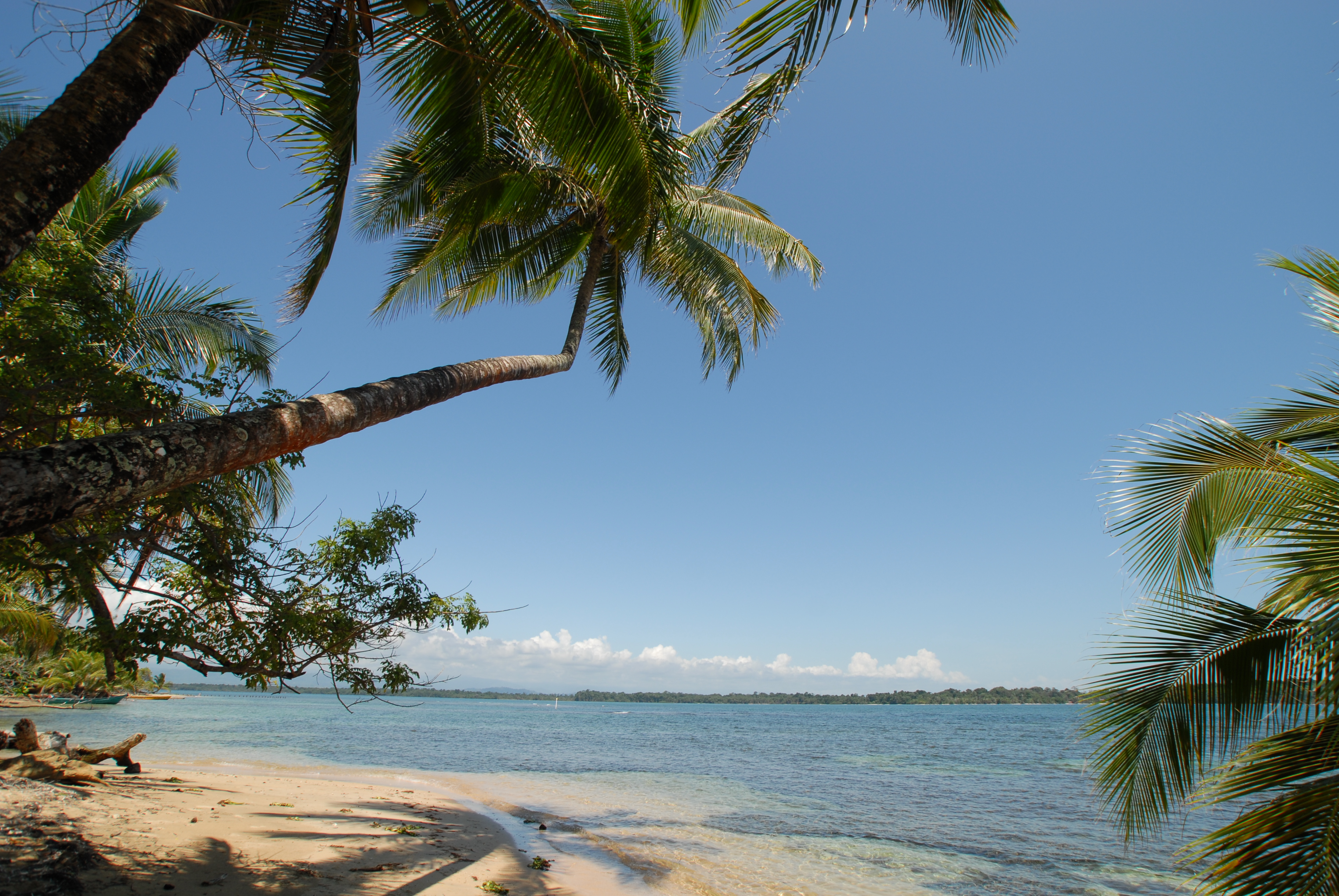 Beaches of Bocas del Toro