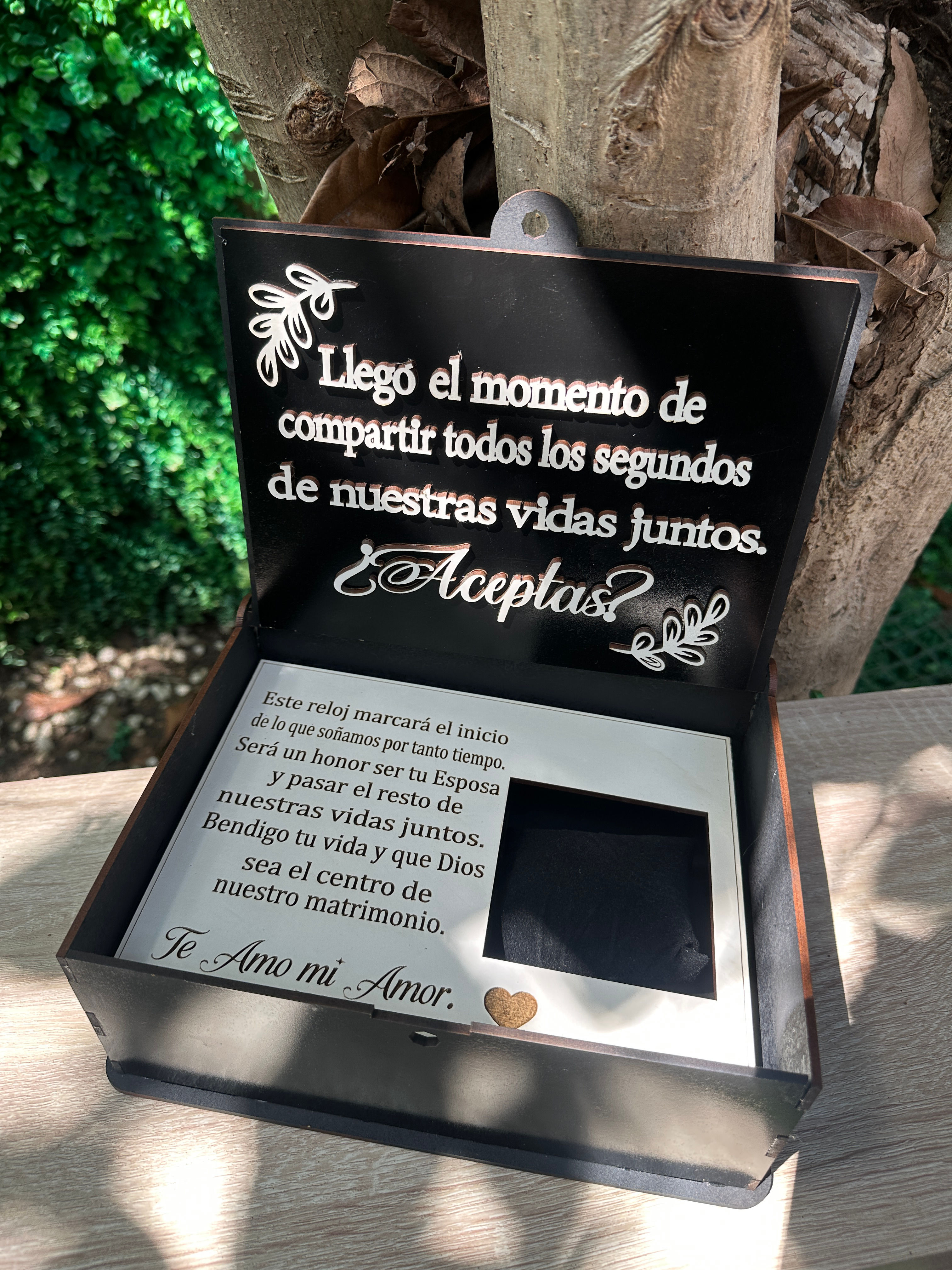 Caja de reloj 