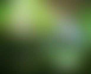 El paciente y limpiar el terreno....