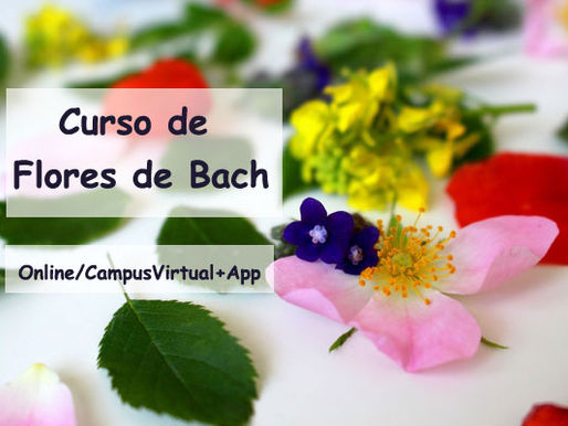 Curso completo de Terapia Floral de Bach 🍂💚
Campus virtual + App 🎋
