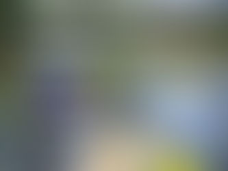 Curso Superior de Medicina Naturista 🍃 SIM 2020 🍃 