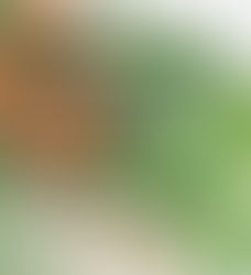 Que es la Naturopatía