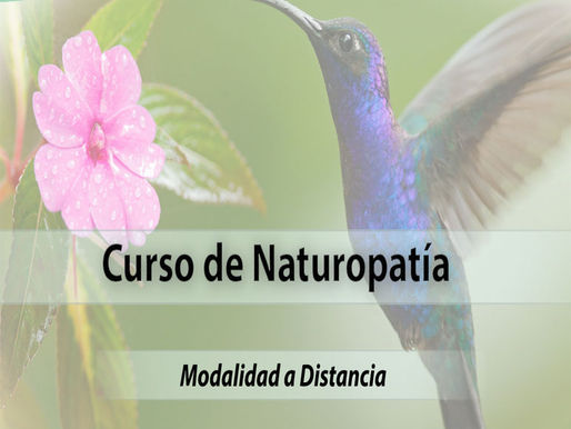 Diplomado en Naturopatía