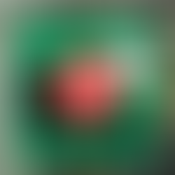 C'est Le Moment : Une Émission Exceptionnelle en Direct de Saint-Ouen