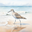 Writer: The Simple Sandpiper