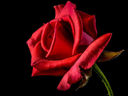 The Month of Love, in All Its Forms