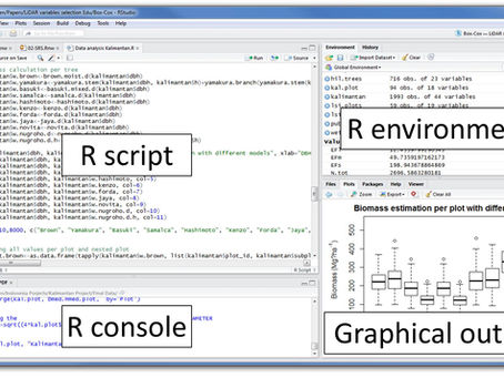 Advantages and Disadvantages of using R Programming