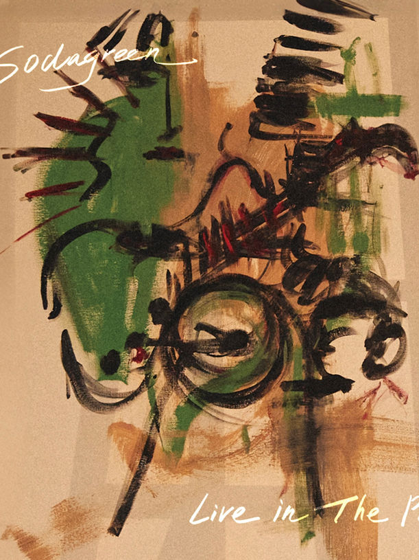 green and beige abstract painting sodagreen fever