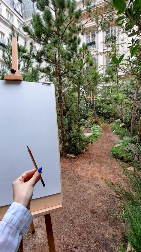 a person is drawing a path in the woods with a pencil