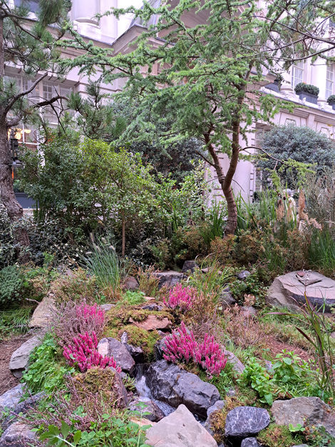a Scottish highland garden with pink flowers and trees in front of the Rosewood hotel in London