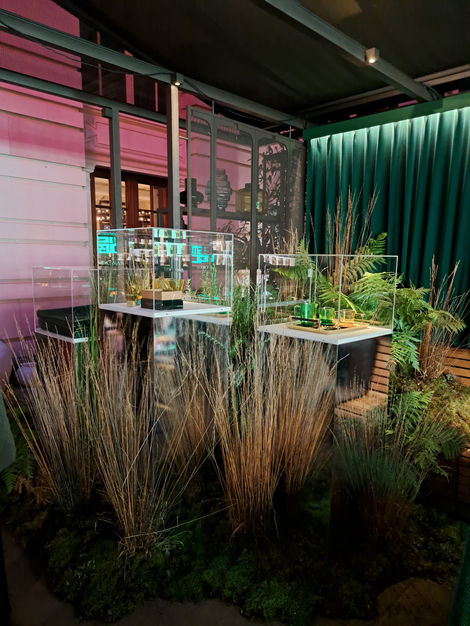 a green curtain is behind a display of plants and MacAllan whiskey