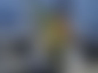 9月に入りサワラが好調です！！