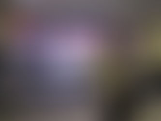 Imersão EVR reúne empresários em Brasília com foco em gestão e escala