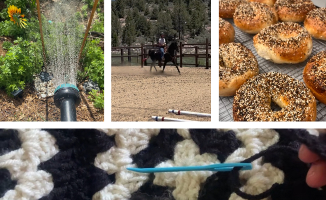 ailsa's hobbies: gardening, horse riding, baking and crochet