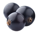 Shutterstock_1050978134 (32).png