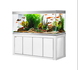 Aquarium and Cabinet