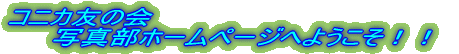 logo4.gif