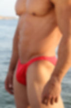 Royal Blue Mens Posing Trunk