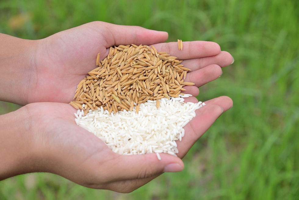 Your Everyday Rice and Roti May Be Losing Nutrition, Experts Warn