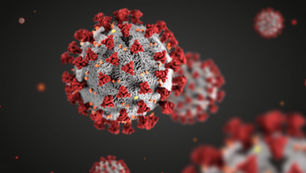 Why is the COVID-19 virus called SARS-COV-2?