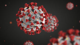 Why is the COVID-19 virus called SARS-COV-2?