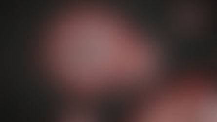 Why is the COVID-19 virus called SARS-COV-2?