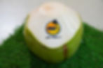 Shaved Top Pandan Coconut