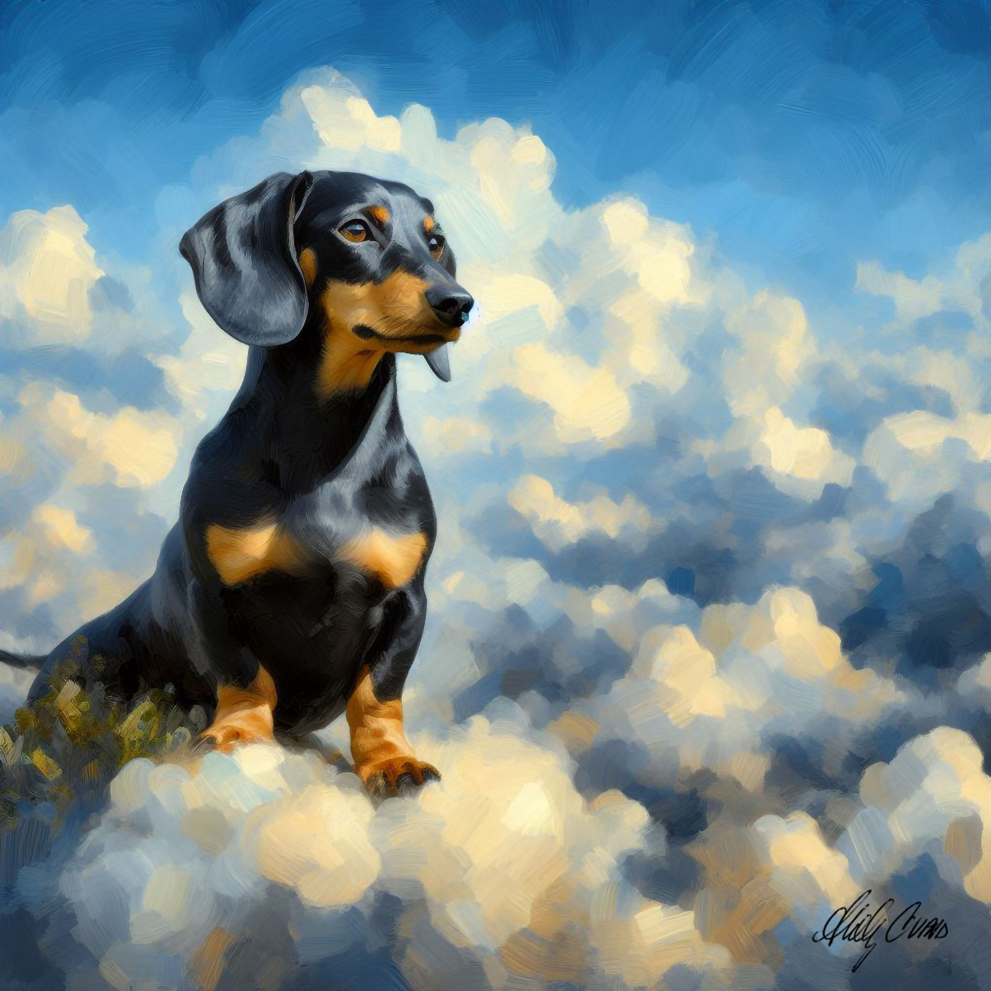 Black and tan in the clouds 1