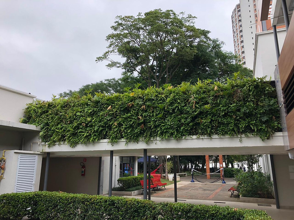 Paisagismo na Educação - Design Biofilico