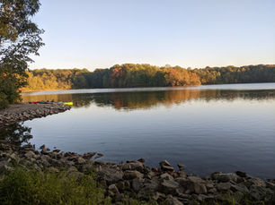 Why are videos crucial to content marketing for your small business?