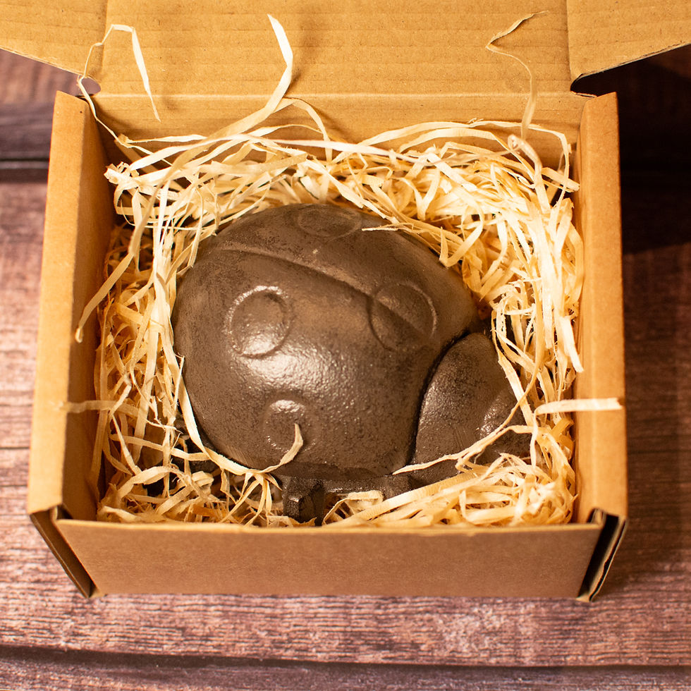 Cast Iron Ladybird Key Holder