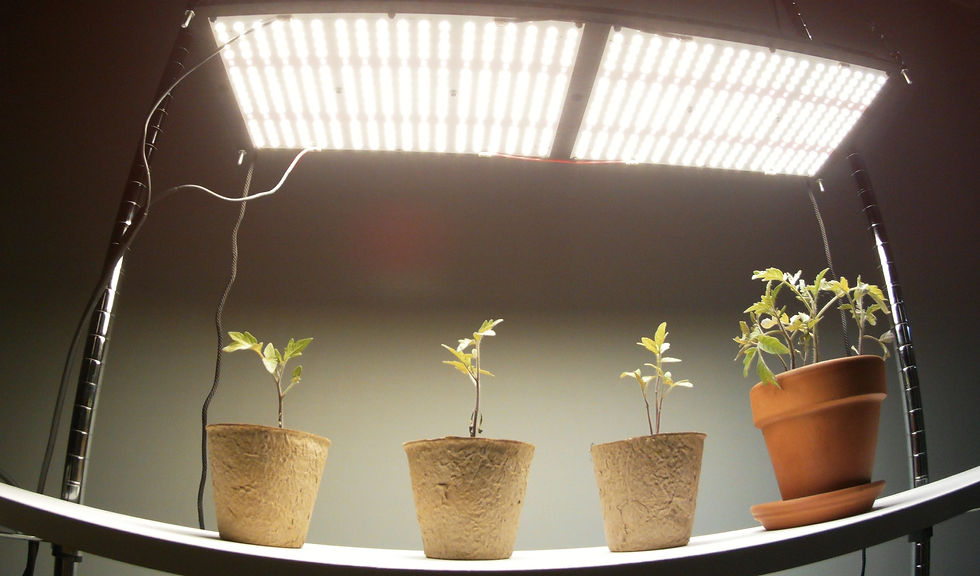 Thumbnail: Samsung lm301h grow light