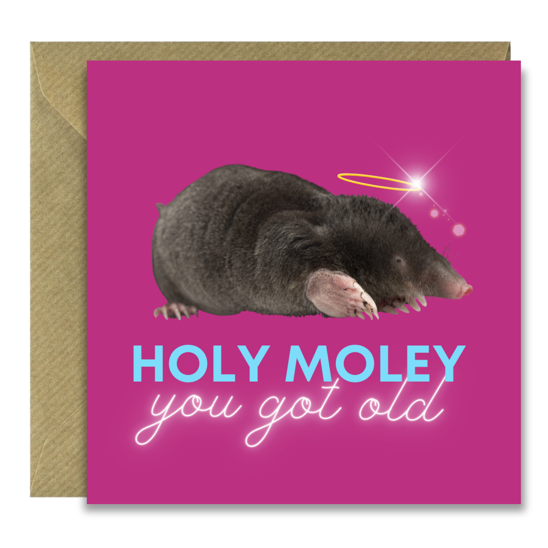 Holy Moley (RRC306 | Pack of 6)