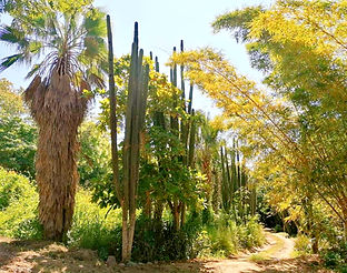 entrada Centro Nijo.jpg