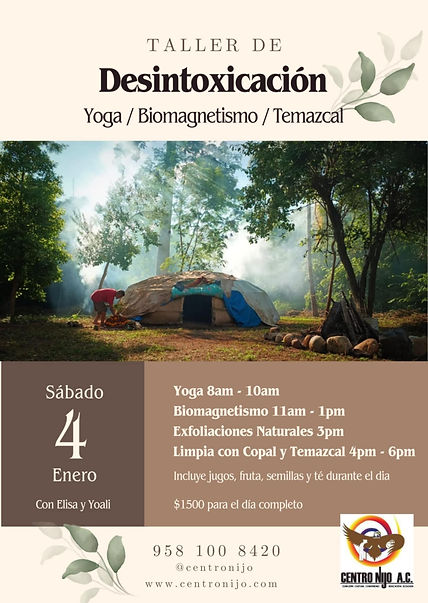taller detox enero 2025