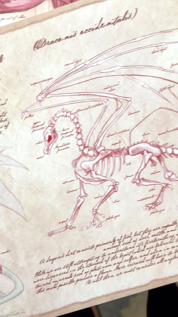 Thumbnail: Anatomy of the Dragon // Vintage Textbook Print/Poster / Mythical Art