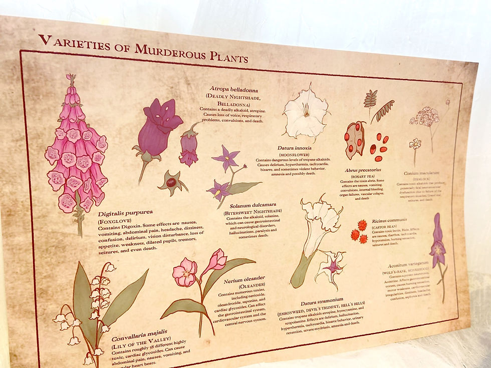 Thumbnail: Variety of Murderous Plants // Illustrated Botanical Print // Deadly Flowers
