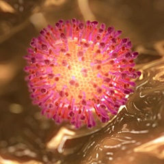 Hepatitis virus
